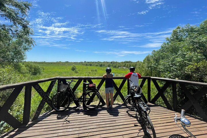 Een begeleide fietstocht die de levendige straten, historische bezienswaardigheden en groene ruimtes van Buenos Aires verkent, foto 11 | wizardtrip