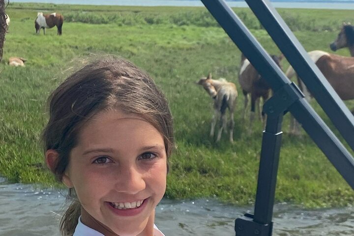 Boat tour to see wild ponies and wildlife around Chincoteague and Assateague Islands, Virginia, photo 14 | wizardtrip