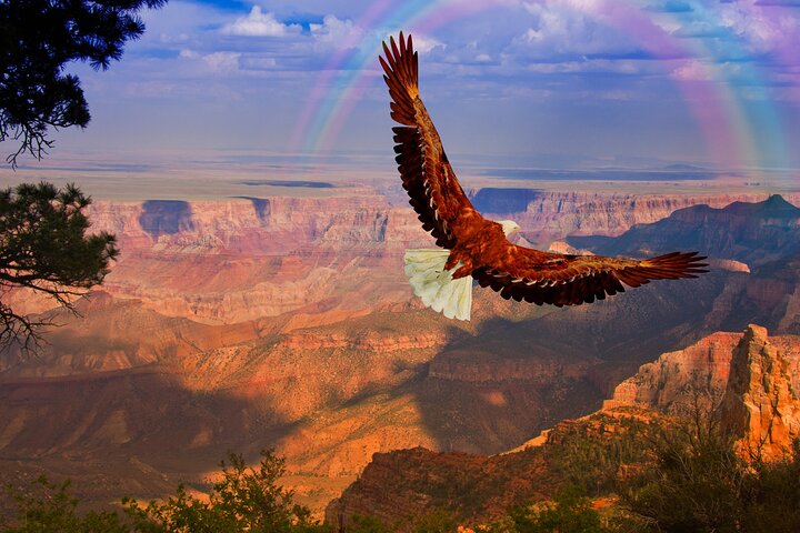 En guidet tur til Grand Canyons South Rim, der viser udsigtspunkter og historiske bygninger, foto 7 | wizardtrip