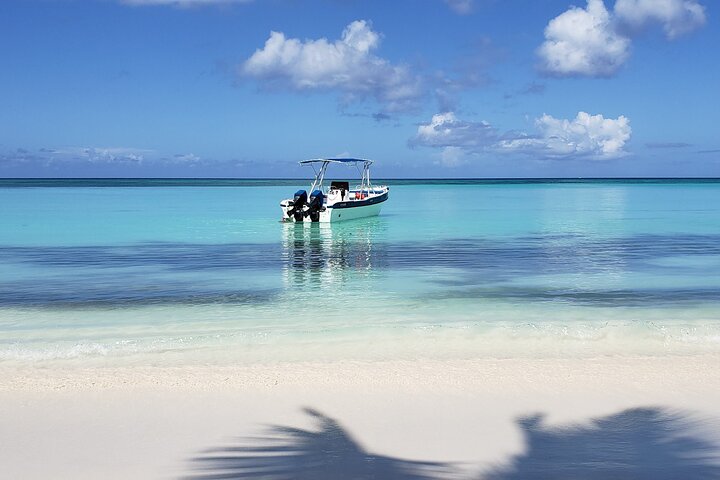 Île de Saona : Excursion d'une journée en petit groupe | wizardtrip