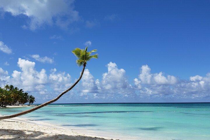 Schnorcheltour mit dem Schnellboot in kleiner Gruppe zur Insel Saona, Dominikanische Republik, mit Stränden, Schnorcheln und lokaler Kultur, Foto 11 | wizardtrip
