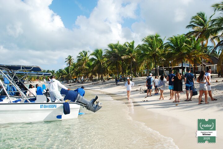 Schnorcheltour mit dem Schnellboot in kleiner Gruppe zur Insel Saona, Dominikanische Republik, mit Stränden, Schnorcheln und lokaler Kultur, Foto 23 | wizardtrip