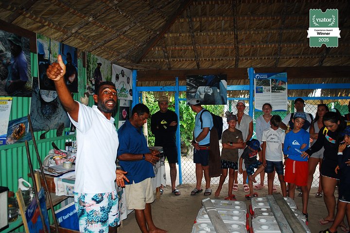 Schnorcheltour mit dem Schnellboot in kleiner Gruppe zur Insel Saona, Dominikanische Republik, mit Stränden, Schnorcheln und lokaler Kultur, Foto 25 | wizardtrip