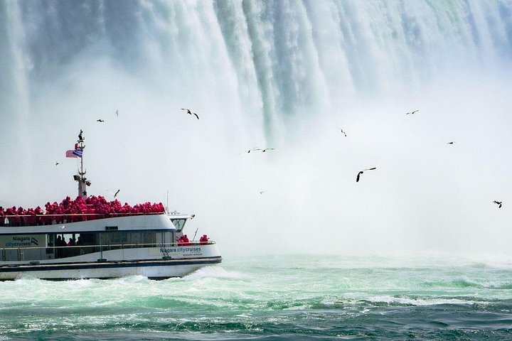 Dagtocht naar Niagara Falls vanuit Toronto, met de watervallen, bootcruise en schilderachtige stops, foto 6 | wizardtrip