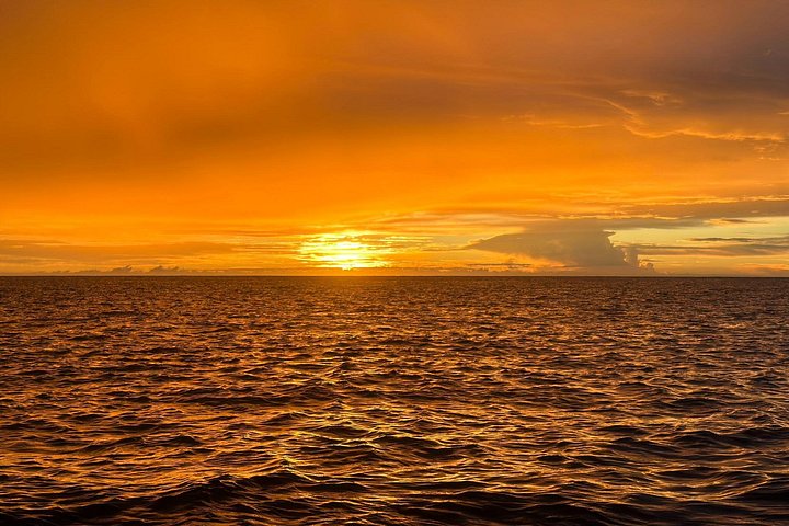 Nacht snorkelen met mantaroggen in Kona, Hawaï, met onderwaterverlichting en zeeleven, foto 12 | wizardtrip