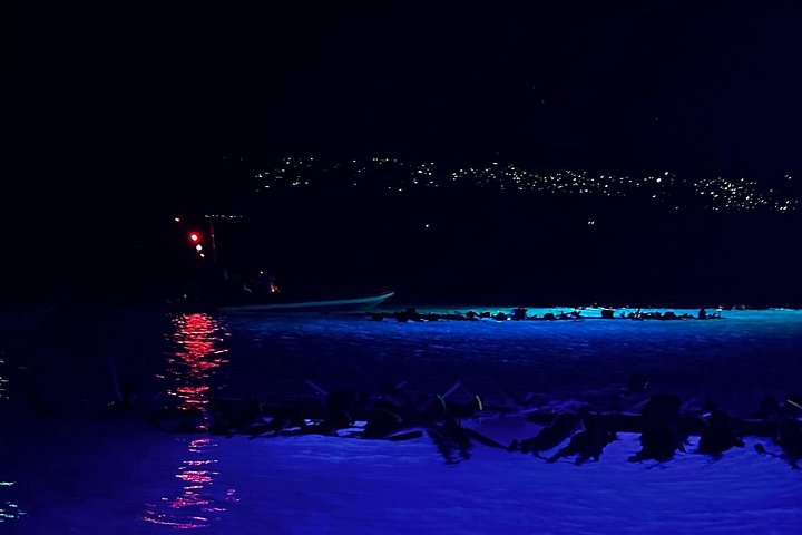 Nacht snorkelen met mantaroggen in Kona, Hawaï, met onderwaterverlichting en zeeleven, foto 15 | wizardtrip