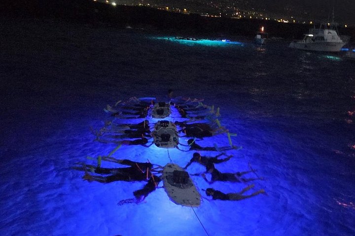 Nacht snorkelen met mantaroggen in Kona, Hawaï, met onderwaterverlichting en zeeleven, foto 16 | wizardtrip