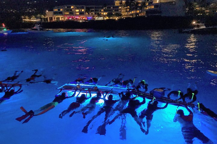 Nacht snorkelen met mantaroggen in Kona, Hawaï, met onderwaterverlichting en zeeleven, foto 17 | wizardtrip
