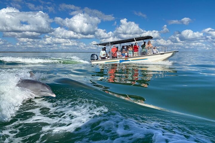 Dolfijnen kijken boottocht in de 10.000 eilanden, Marco Island, Florida, foto 6 | wizardtrip