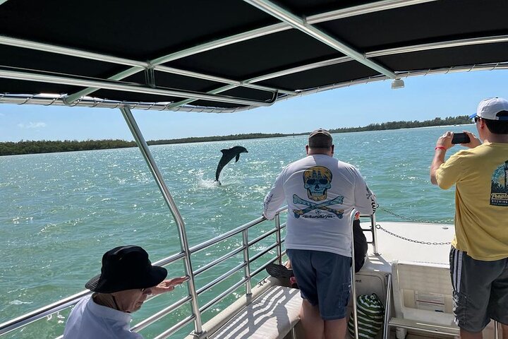 Dolfijnen kijken boottocht in de 10.000 eilanden, Marco Island, Florida, foto 8 | wizardtrip