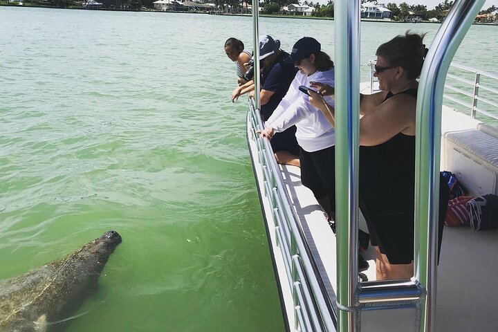 Dolfijnen kijken boottocht in de 10.000 eilanden, Marco Island, Florida, foto 9 | wizardtrip