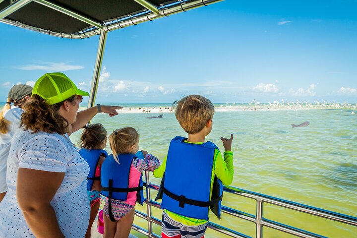 Marco Island Wildlife Sightseeing and Shelling Tour | wizardtrip