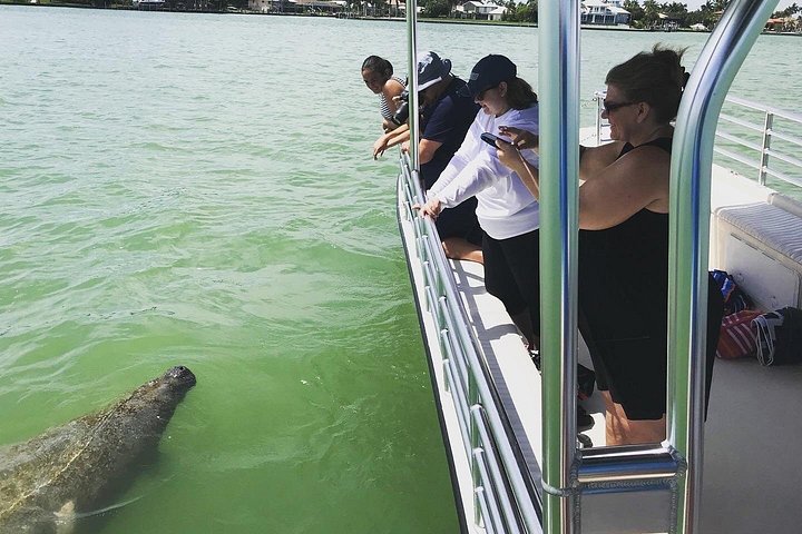 Tier- und Muscheltour durch die Ten Thousand Islands von Marco Island, Foto 11 | wizardtrip