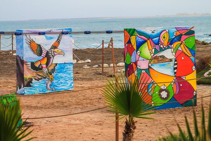 Vivi l'emozione della zipline sull'Oceano Atlantico a Capo Verde, foto 21 | wizardtrip