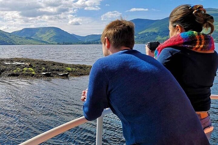 Crociera panoramica sul Loch Linnhe da Fort William, avvistamento di foche e fauna selvatica con vista sul Ben Nevis, foto 9 | wizardtrip