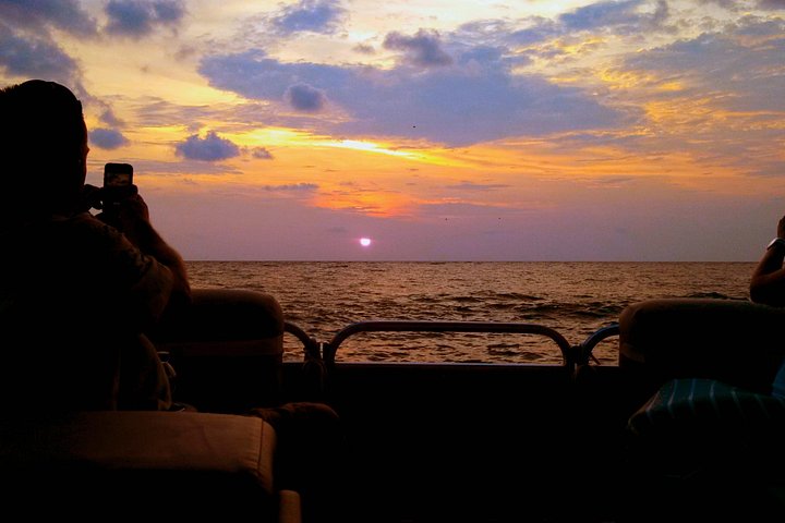 Disfruta de un tour en barco semiprivado al atardecer en St. Petersburg, Florida, con vistas a mansiones y delfines, foto 6 | wizardtrip