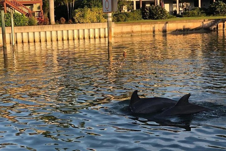 Disfruta de un tour en barco semiprivado al atardecer en St. Petersburg, Florida, con vistas a mansiones y delfines, foto 8 | wizardtrip