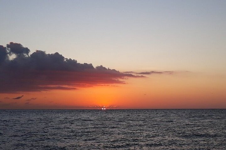 Disfruta de un tour en barco semiprivado al atardecer en St. Petersburg, Florida, con vistas a mansiones y delfines, foto 15 | wizardtrip