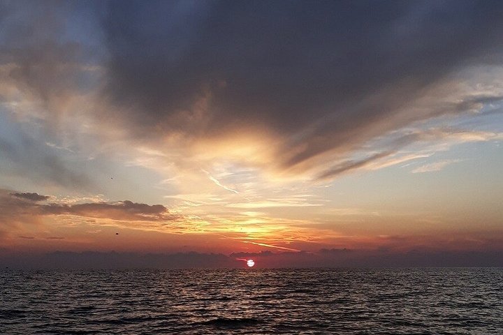 Disfruta de un tour en barco semiprivado al atardecer en St. Petersburg, Florida, con vistas a mansiones y delfines, foto 16 | wizardtrip