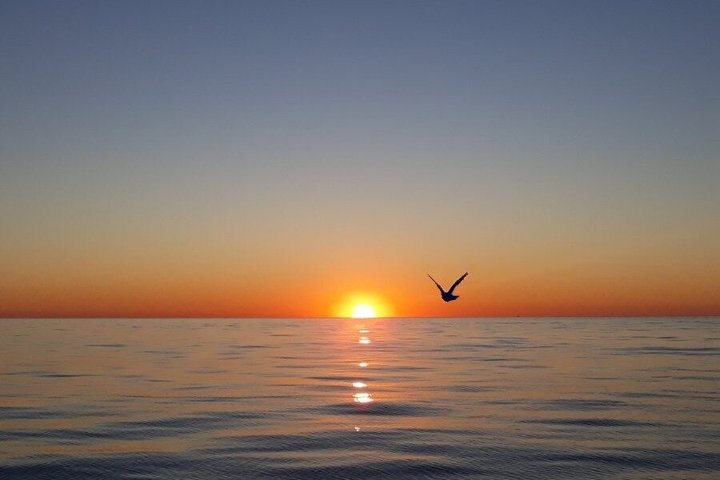 Disfruta de un tour en barco semiprivado al atardecer en St. Petersburg, Florida, con vistas a mansiones y delfines, foto 17 | wizardtrip