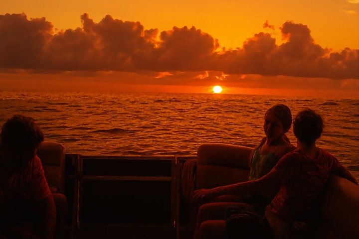 Disfruta de un tour en barco semiprivado al atardecer en St. Petersburg, Florida, con vistas a mansiones y delfines, foto 18 | wizardtrip