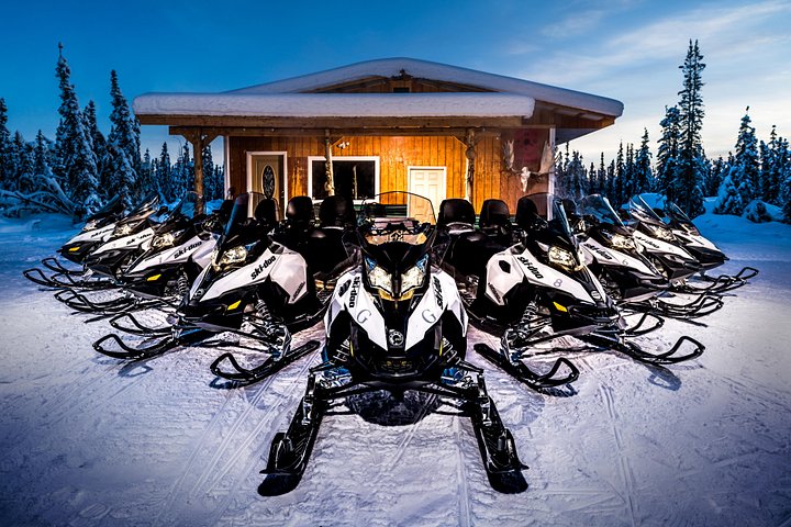 Opplev en spennende snøscotertur i Fairbanks, Alaska, kjør på naturskjønne vinterløyper og se dyreliv, foto 6 | wizardtrip