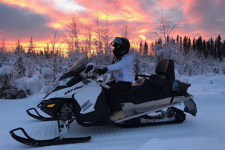 Opplev en spennende snøscotertur i Fairbanks, Alaska, kjør på naturskjønne vinterløyper og se dyreliv, foto 8 | wizardtrip