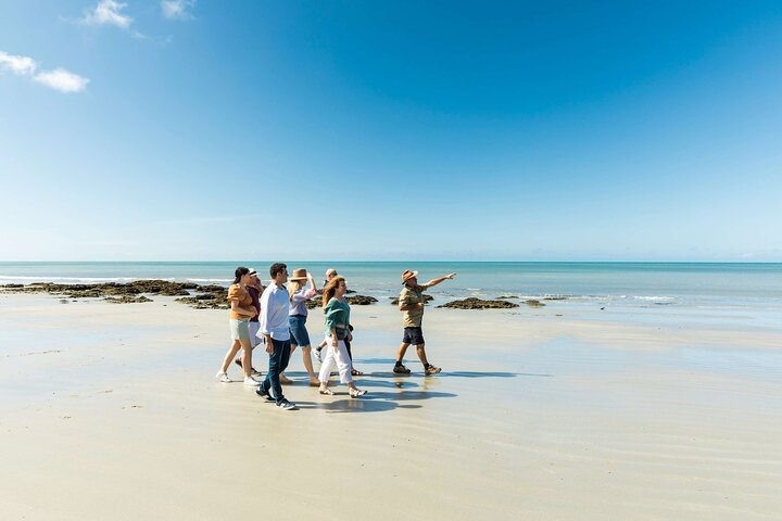 Verken het weelderige Daintree Rainforest en het prachtige Cape Tribulation tijdens een dagtocht vanuit Cairns, Australië, foto 11 | wizardtrip