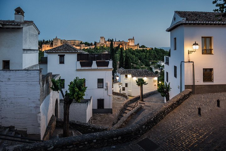 Privat guidad tur av Alhambra-palatskomplexet och trädgårdarna i Granada, Spanien, foto 6 | wizardtrip