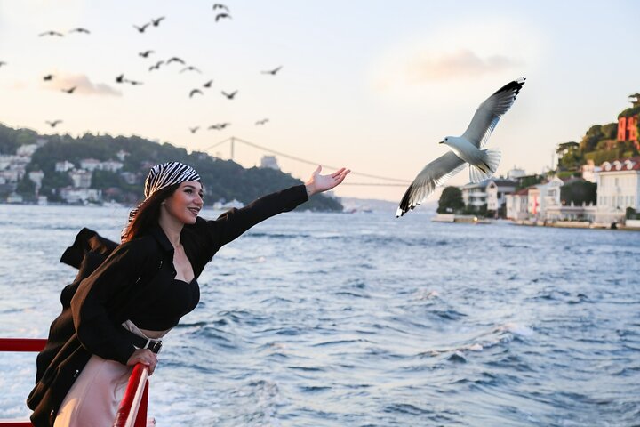 Croisière sur le Bosphore à Istanbul | wizardtrip