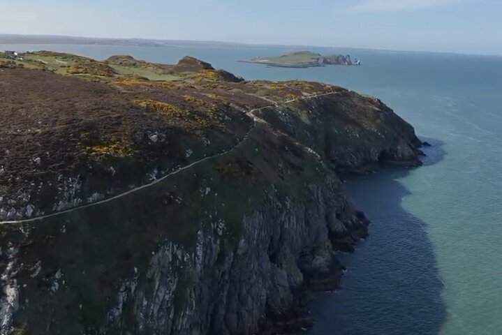 Passeio de barco com vistas das Falésias de Howth, Ireland's Eye e vida selvagem local perto de Dublin, foto 6 | wizardtrip
