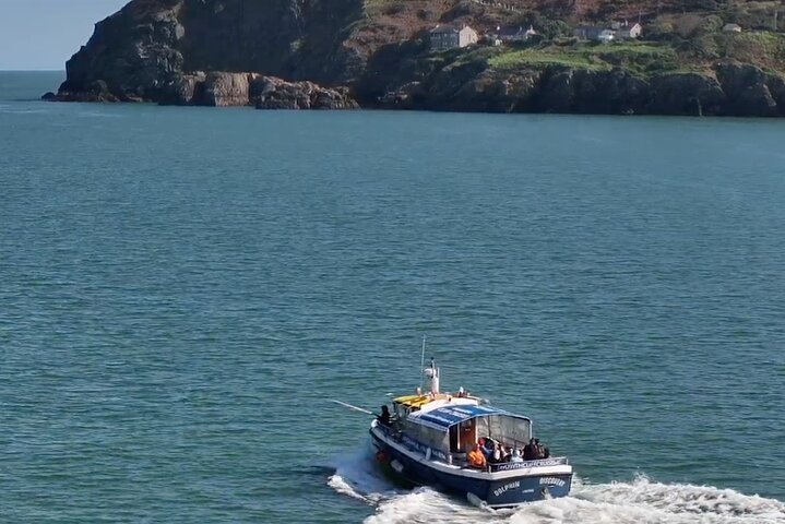 Passeio de barco com vistas das Falésias de Howth, Ireland's Eye e vida selvagem local perto de Dublin, foto 7 | wizardtrip