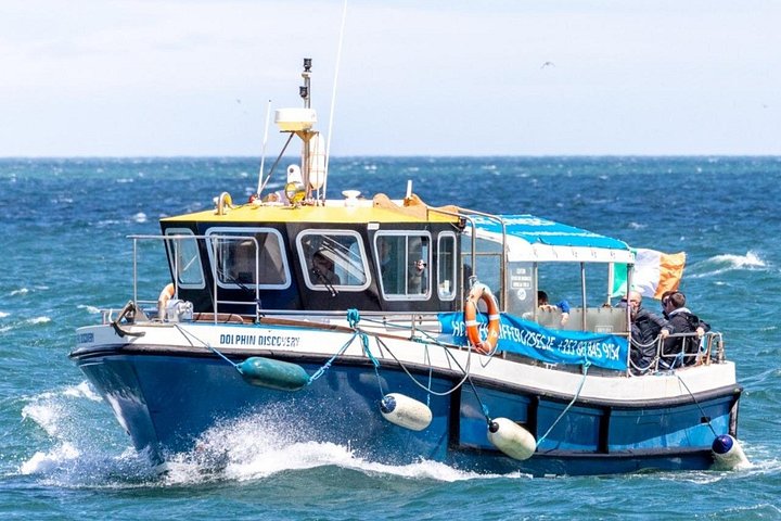 Passeio de barco com vistas das Falésias de Howth, Ireland's Eye e vida selvagem local perto de Dublin, foto 8 | wizardtrip