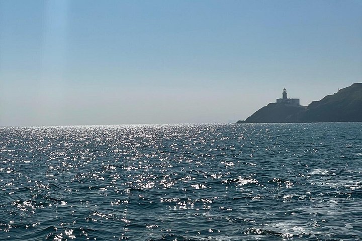 Passeio de barco com vistas das Falésias de Howth, Ireland's Eye e vida selvagem local perto de Dublin, foto 9 | wizardtrip