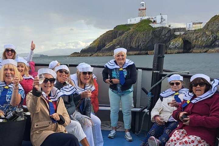 Passeio de barco com vistas das Falésias de Howth, Ireland's Eye e vida selvagem local perto de Dublin, foto 10 | wizardtrip