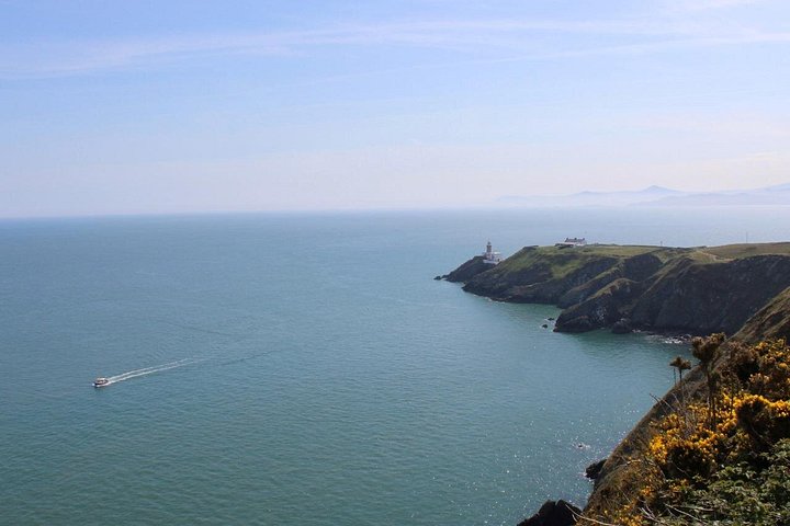 Passeio de barco com vistas das Falésias de Howth, Ireland's Eye e vida selvagem local perto de Dublin, foto 11 | wizardtrip