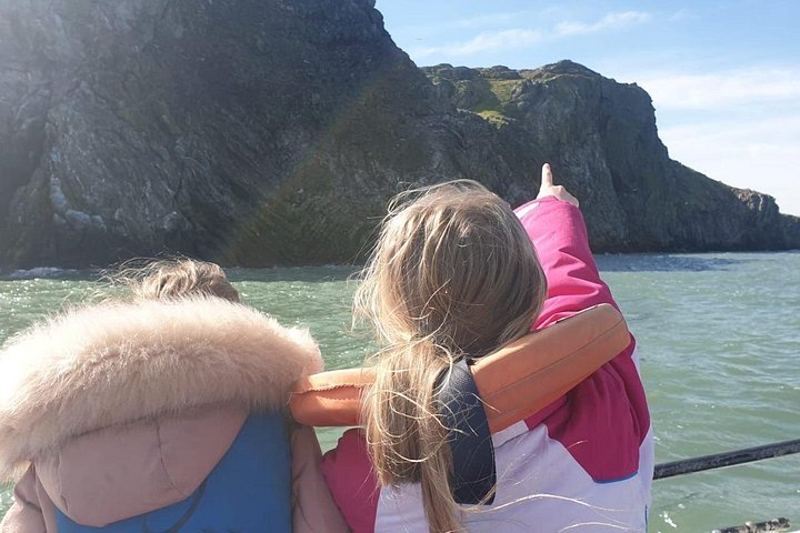 Passeio de barco com vistas das Falésias de Howth, Ireland's Eye e vida selvagem local perto de Dublin, foto 12 | wizardtrip