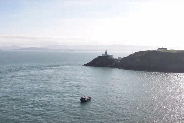 Passeio de barco com vistas das Falésias de Howth, Ireland's Eye e vida selvagem local perto de Dublin, foto 13 | wizardtrip