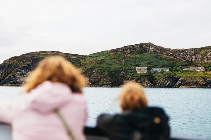 Passeio de barco com vistas das Falésias de Howth, Ireland's Eye e vida selvagem local perto de Dublin, foto 14 | wizardtrip