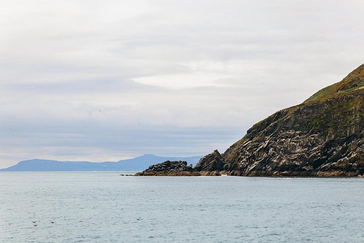 Passeio de barco com vistas das Falésias de Howth, Ireland's Eye e vida selvagem local perto de Dublin, foto 16 | wizardtrip