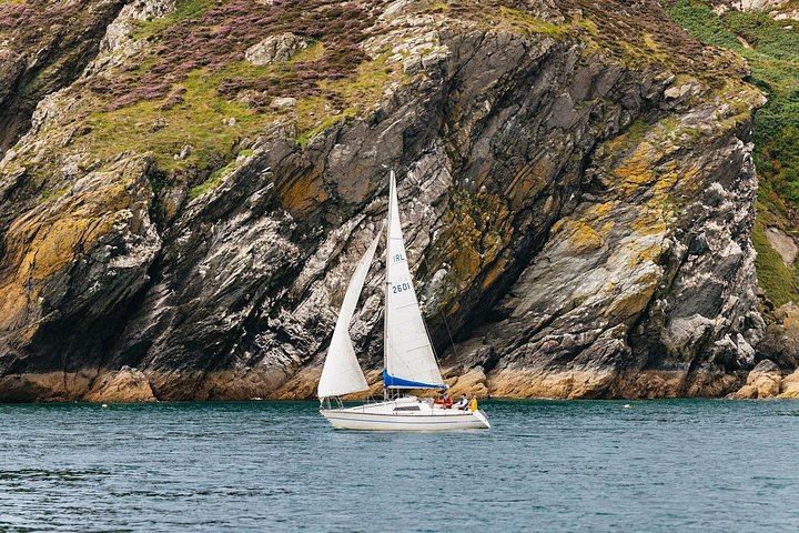 Passeio de barco com vistas das Falésias de Howth, Ireland's Eye e vida selvagem local perto de Dublin, foto 17 | wizardtrip