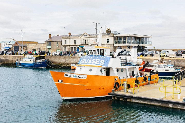Passeio de barco com vistas das Falésias de Howth, Ireland's Eye e vida selvagem local perto de Dublin, foto 19 | wizardtrip