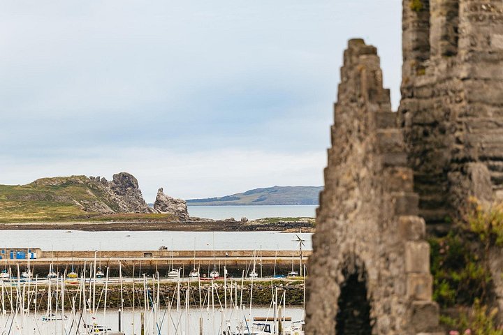 Passeio de barco com vistas das Falésias de Howth, Ireland's Eye e vida selvagem local perto de Dublin, foto 25 | wizardtrip
