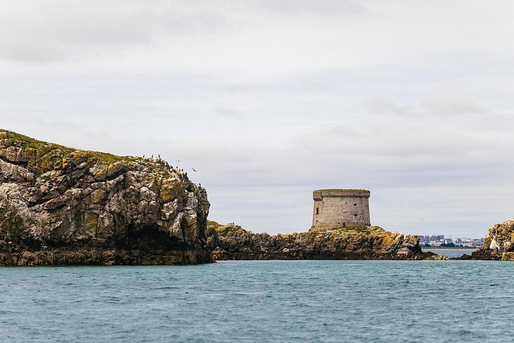 Passeio de barco com vistas das Falésias de Howth, Ireland's Eye e vida selvagem local perto de Dublin, foto 26 | wizardtrip