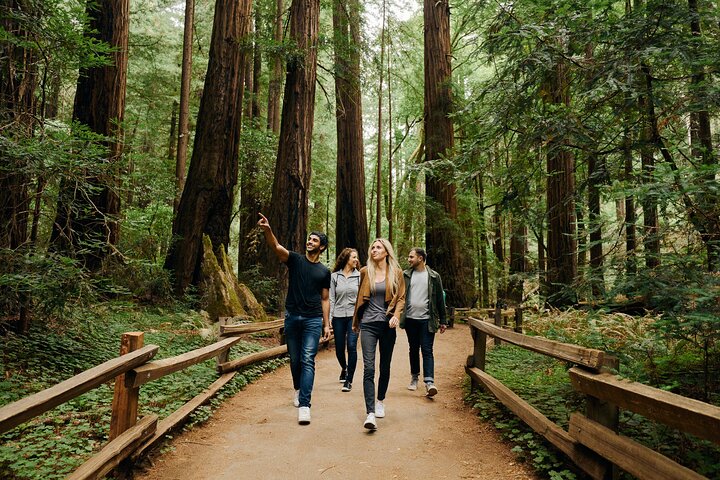 San Francisco City Tour, Muir Woods & Sausalito: Halv eller heldagstur | wizardtrip