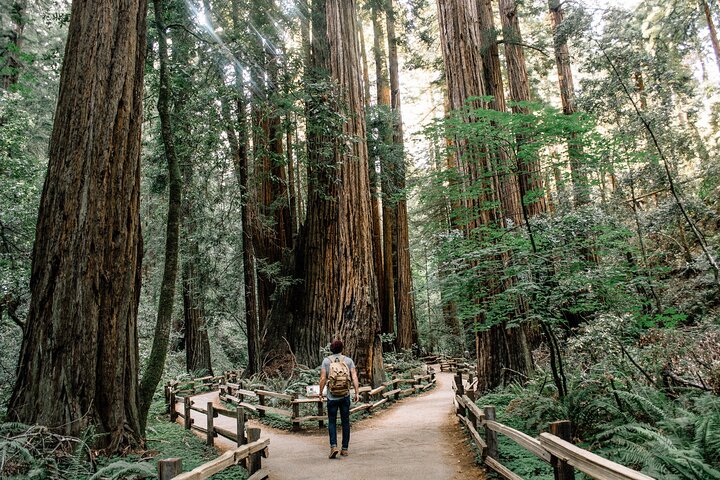 San Francisco, Muir Woods, Sausalito och valfri Alcatraz-tur | wizardtrip