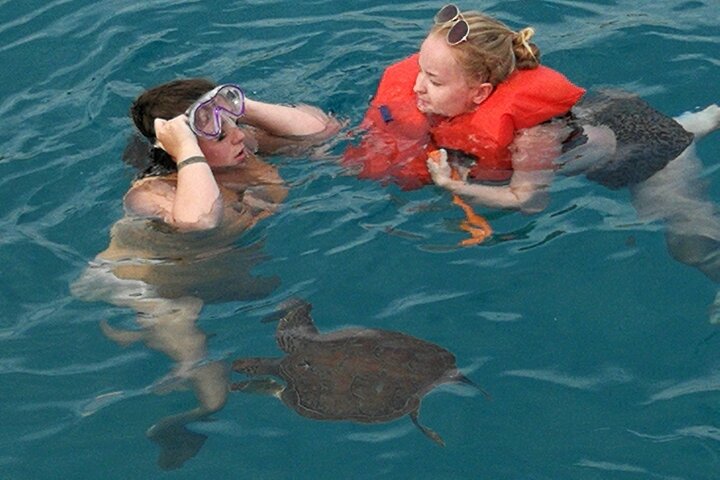 Nyd et afslappende dagkrydstogt til Blue Lagoon og Turtle Cove fra Ayia Napa, Cypern, med svømning og frokost, foto 38 | wizardtrip