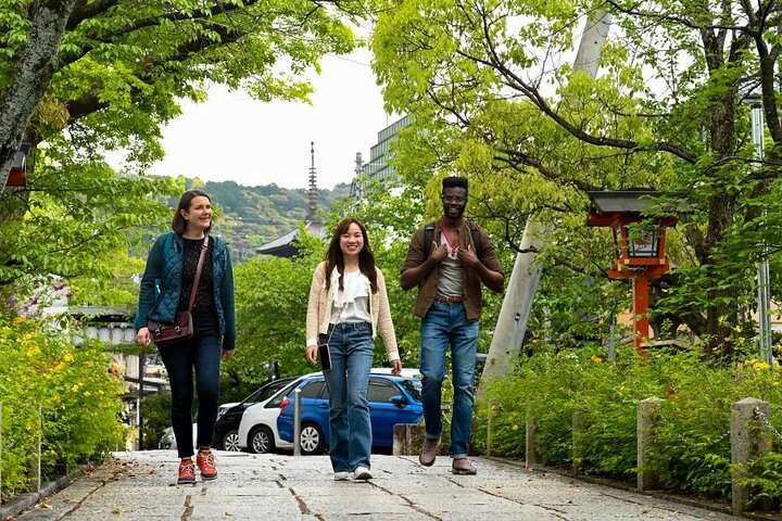 Private guided walking tour exploring Kyoto's temples, gardens, and traditional streets, photo 6 | wizardtrip