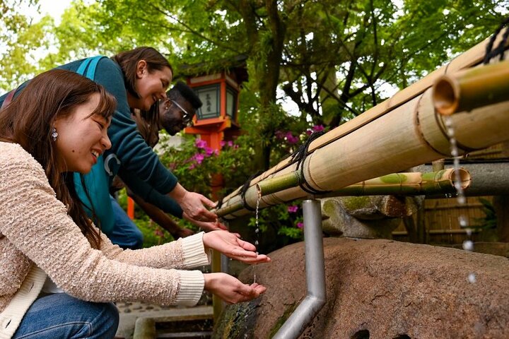 Private guided walking tour exploring Kyoto's temples, gardens, and traditional streets, photo 8 | wizardtrip