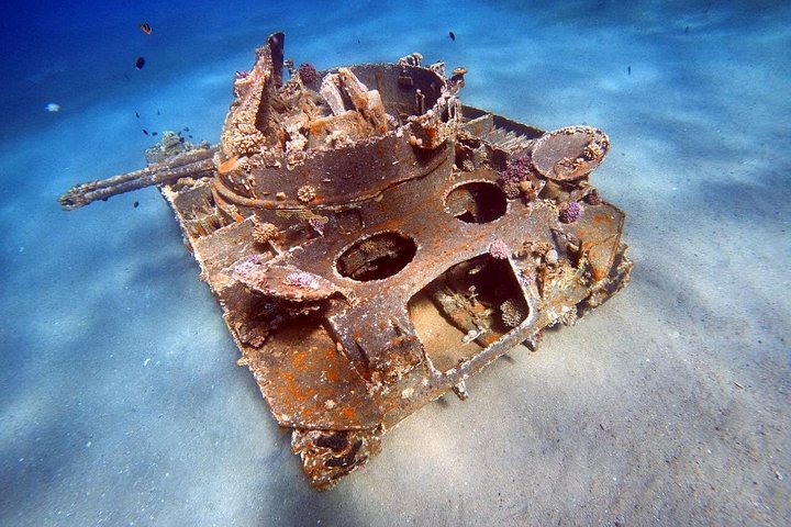 Aventura privada de buceo en el Mar Rojo, Aqaba, Jordania, explorando la vida marina y naufragios, foto 11 | wizardtrip